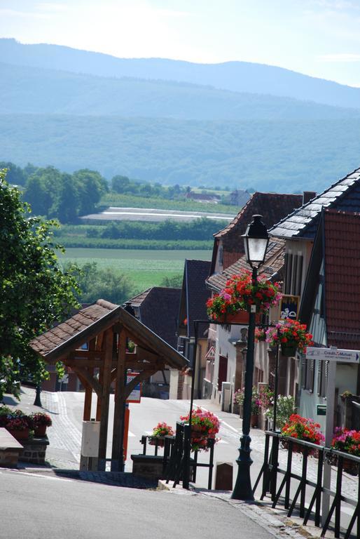 La Maison De Georges - Les Coquelicots Scharrachbergheim-Irmstett Номер фото